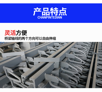 桥梁伸缩缝-送胶条-建筑变形缝